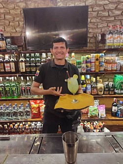 Servicio de Mesoneros