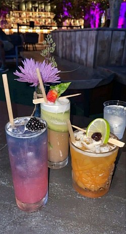 Cocteles